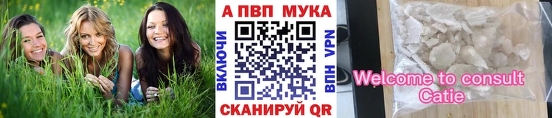 как найти   Шагонар  Альфа ПВП СК КРИС 