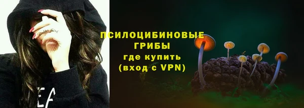 apvp Михайлов